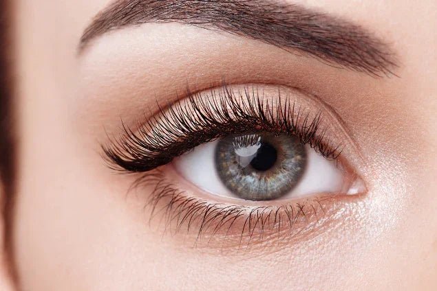How to Transform Your Eyelashes with a Heated Eyelash Curler in 3 Easy Steps - TOUCHBeauty