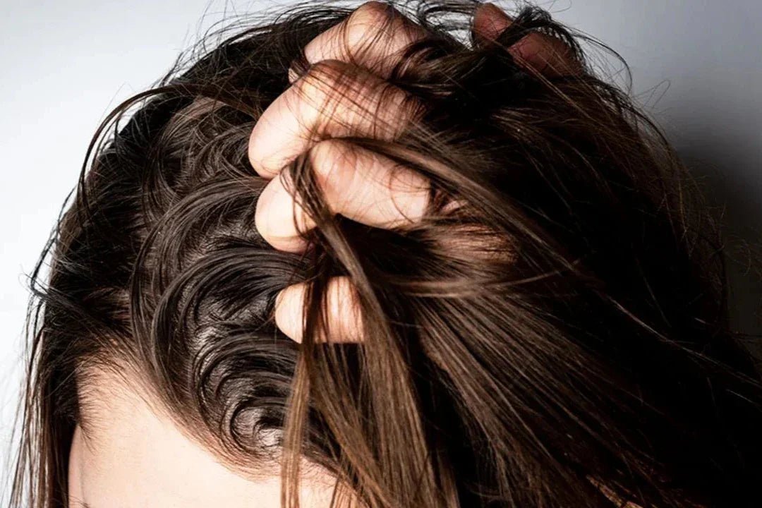 Why Does My Hair Feel Greasy Even After Washing? - TOUCHBeauty